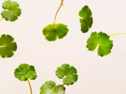 Best Rituals Active Firming Eye Cream