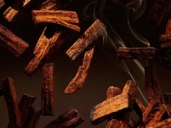 Best Rituals Black Oudh Fragrance Sticks