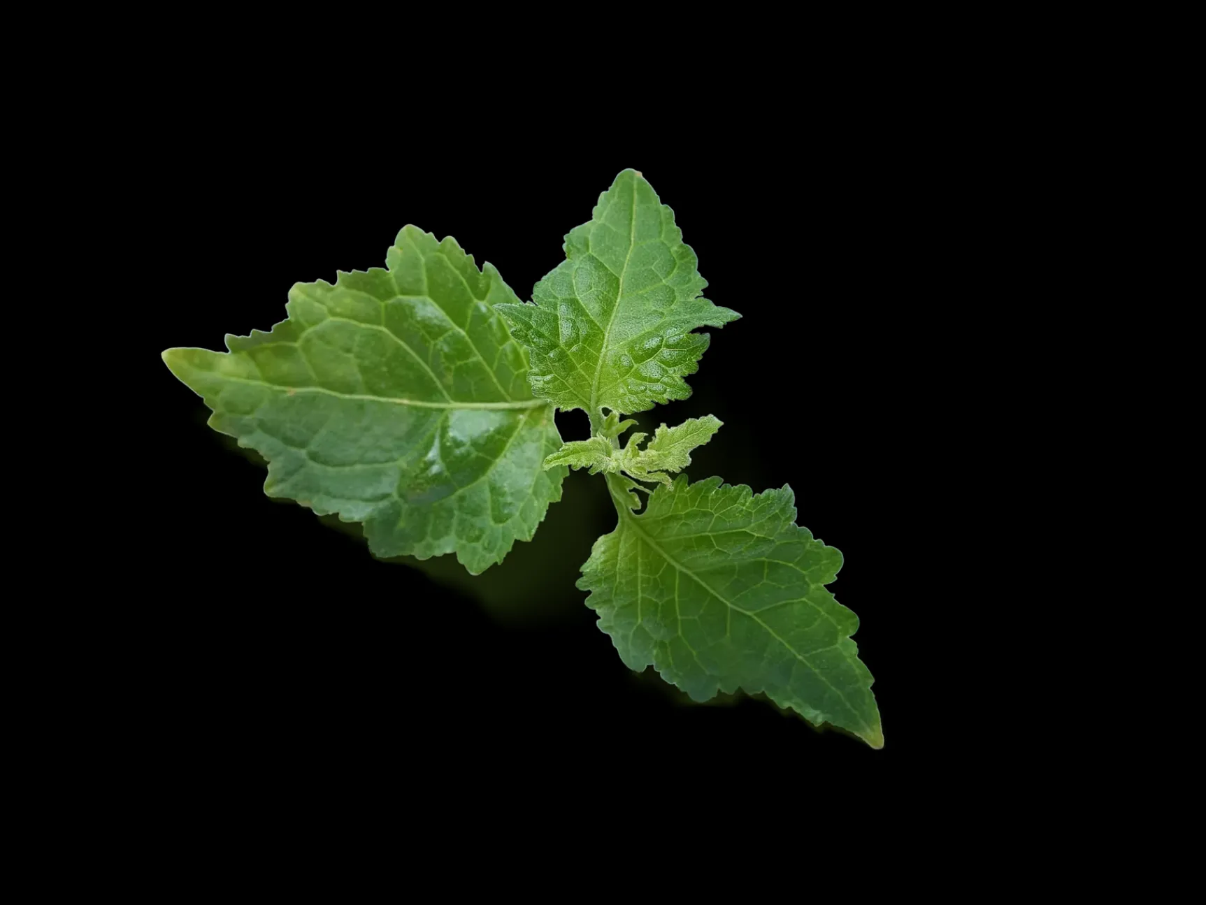 Clearance Rituals Body Cream