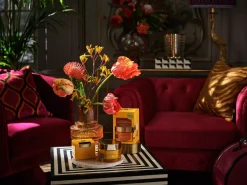 Hot Rituals Body Cream and Refill Pack