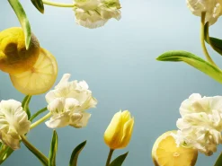 Clearance Rituals Car Air Freshener Refill