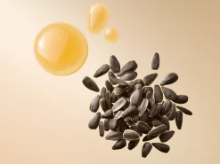 Online Rituals Conditioner