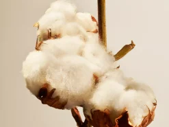 Rituals Cotton Blossom Fragrance Sticks