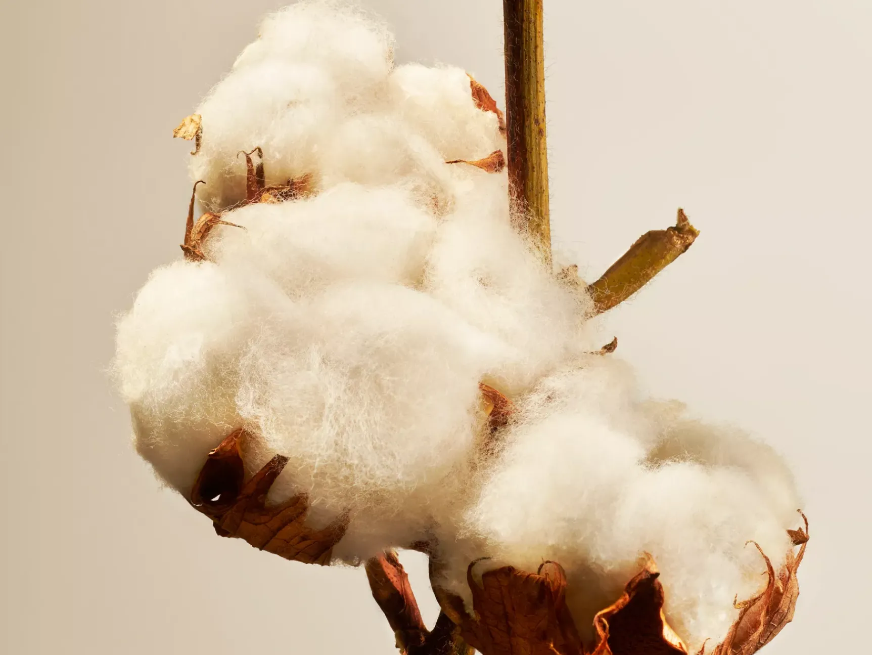 Sale Rituals Cotton Blossom Refill Fragrance Sticks