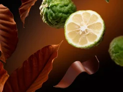 Hot Rituals Eau de Parfum Oudh