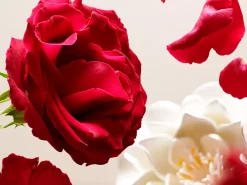 Sale Rituals Eye Make-Up Remover