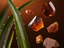 Clearance Rituals Face Mask