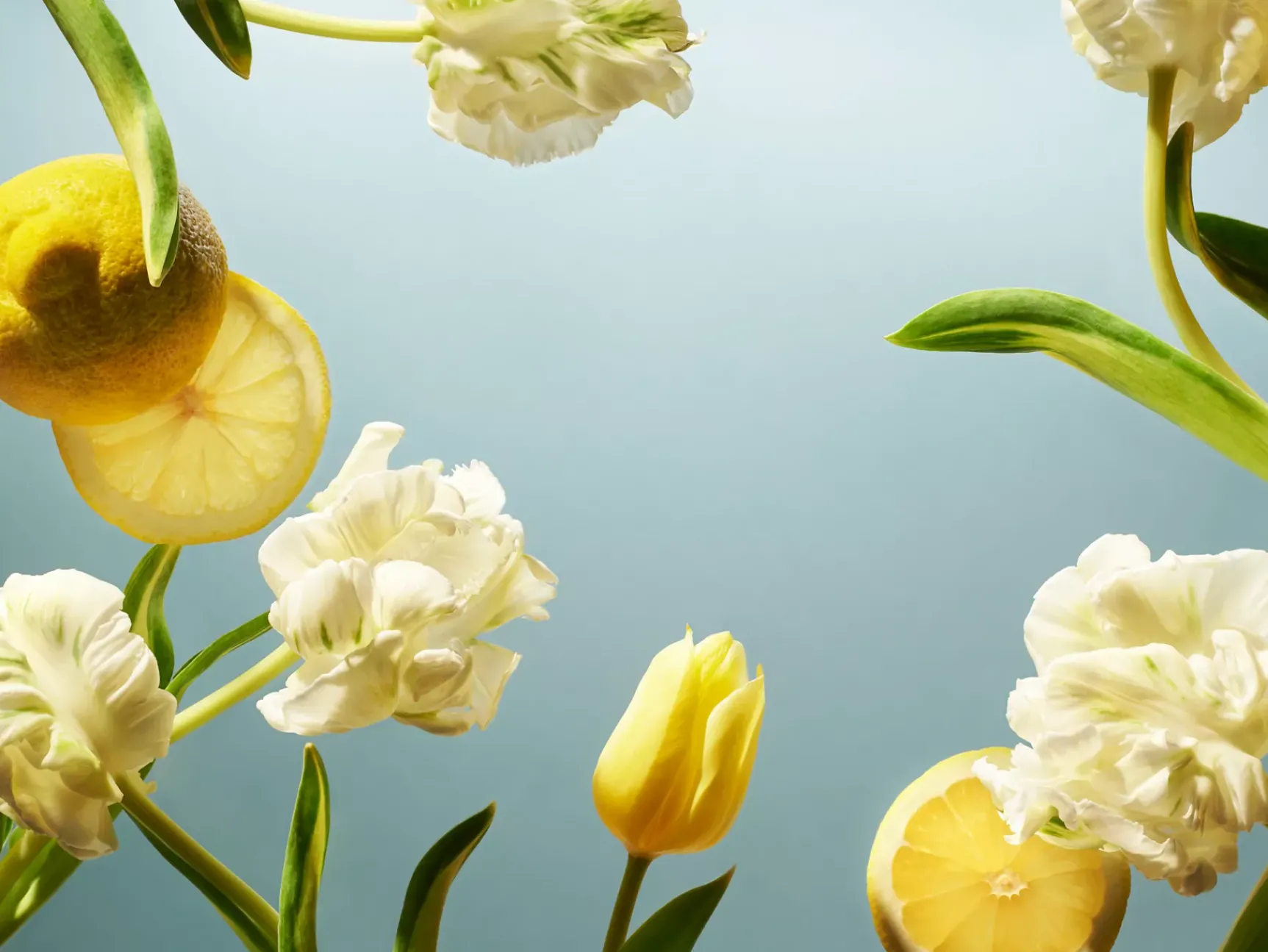 Online Rituals Foaming Shower Gel