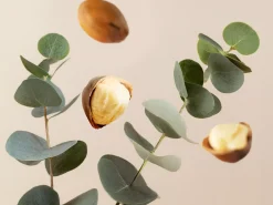 Best Rituals Fortune Balms - Repair