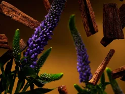 Sale Rituals Fragrance Sticks