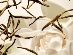 Online Rituals Fragrance Sticks Duo