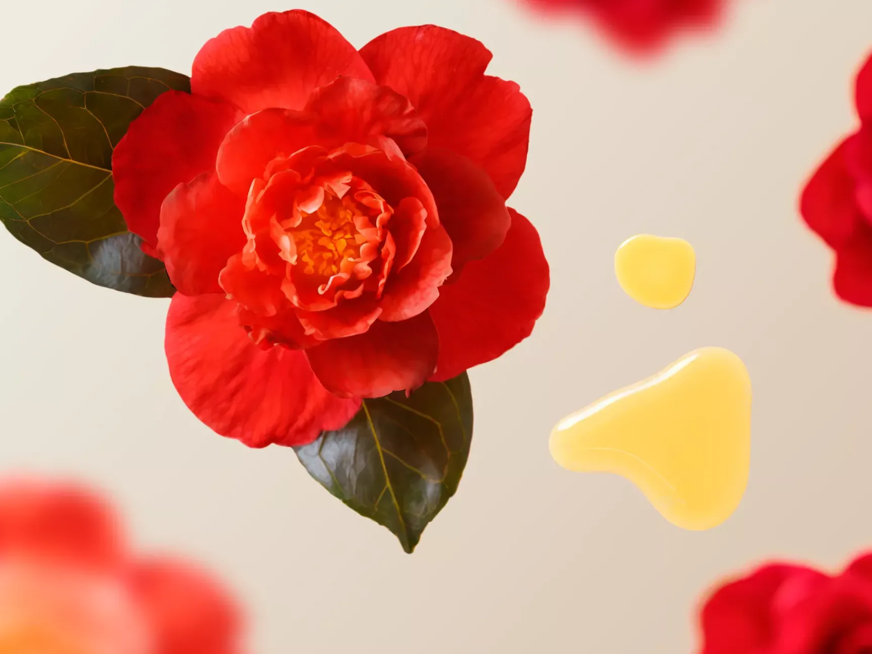 Online Rituals Hair Serum