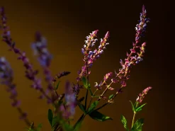 Hot Rituals Large Savage Garden Scented Candle