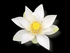 Sale Rituals Luxurious Scent Booster & Softener in 2