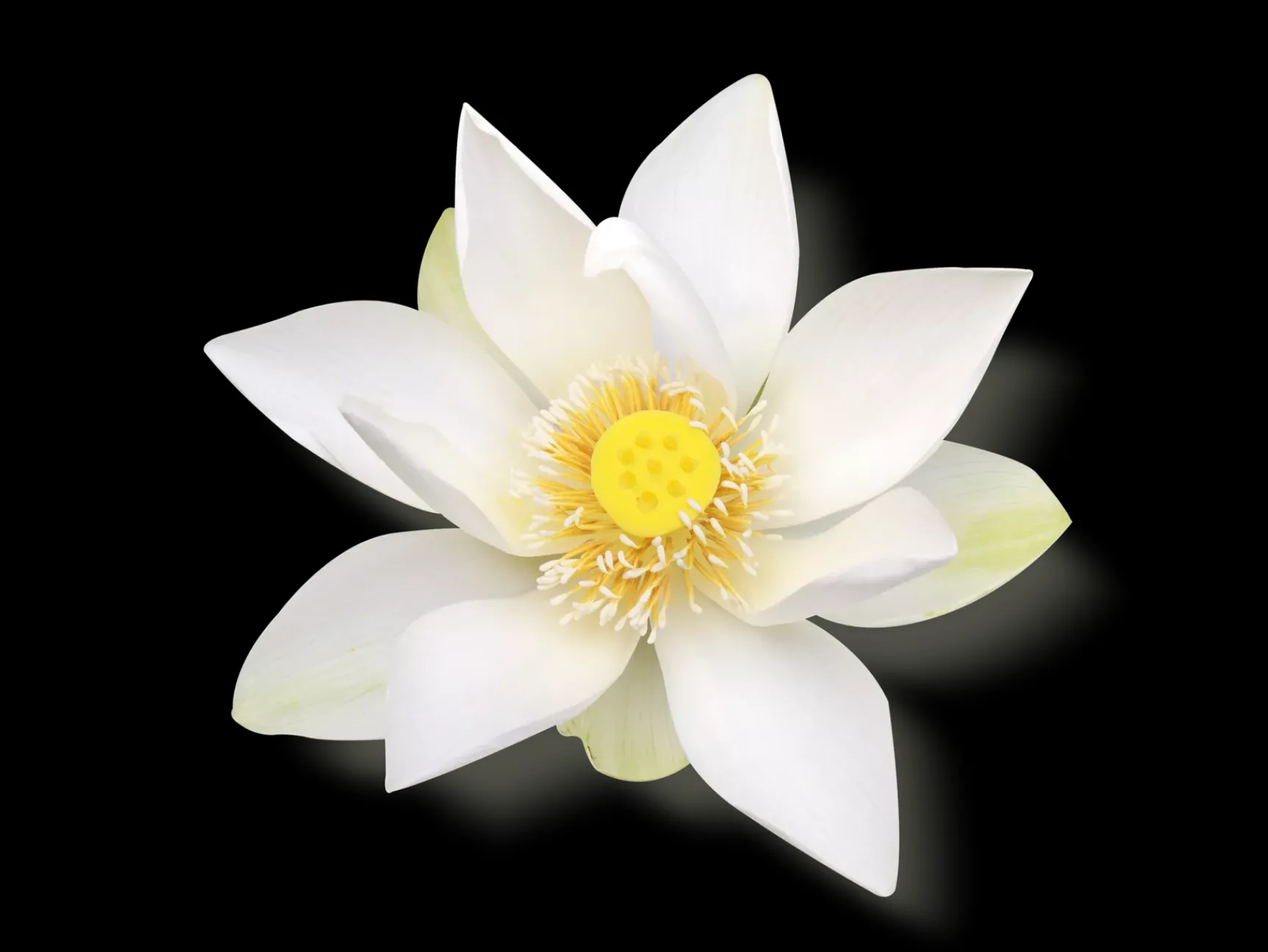 Sale Rituals Luxurious Scent Booster & Softener in 2