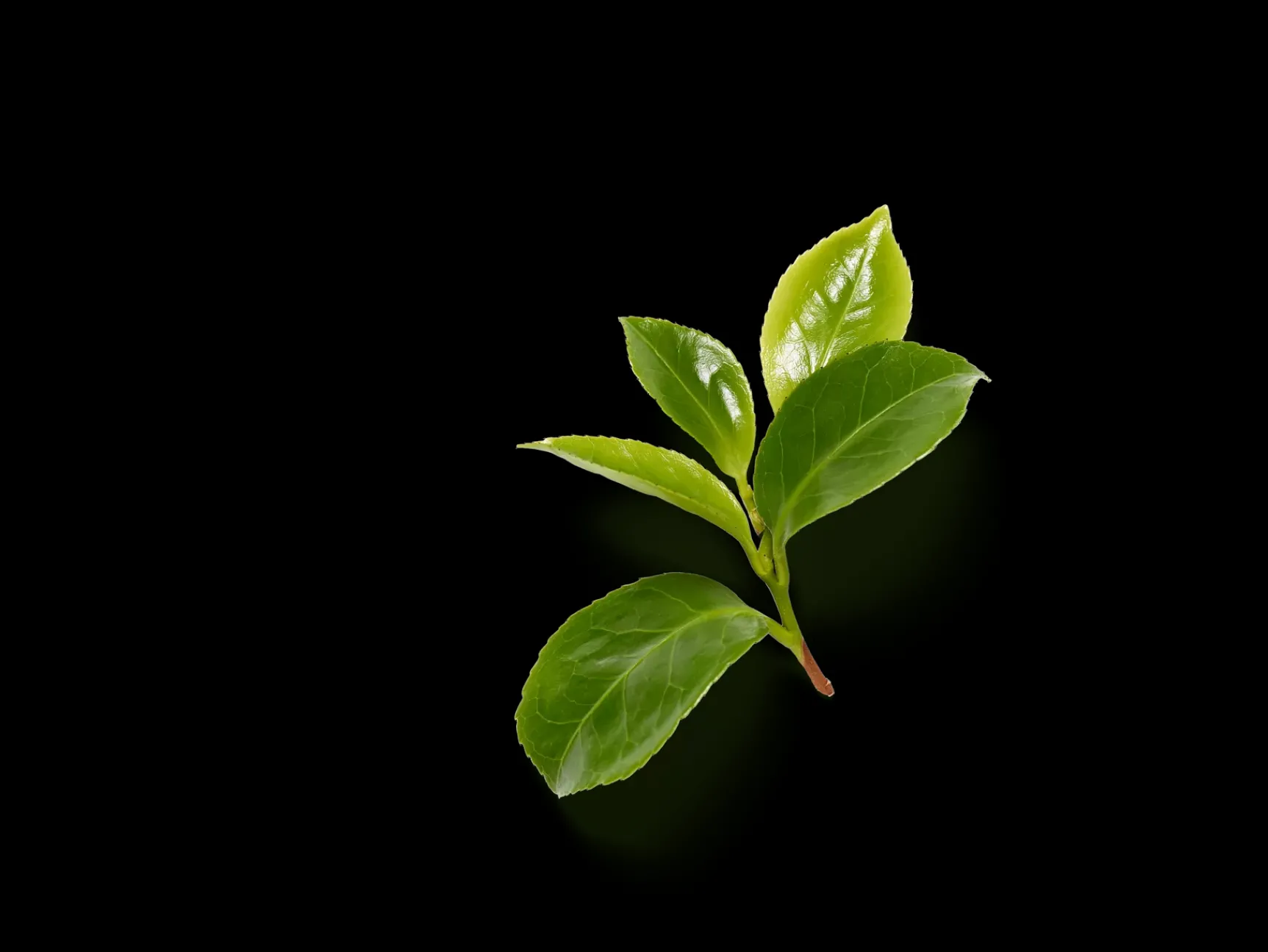 Sale Rituals Luxurious Scent Booster & Softener in 2