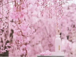 Outlet Rituals Mini Fragrance Sticks