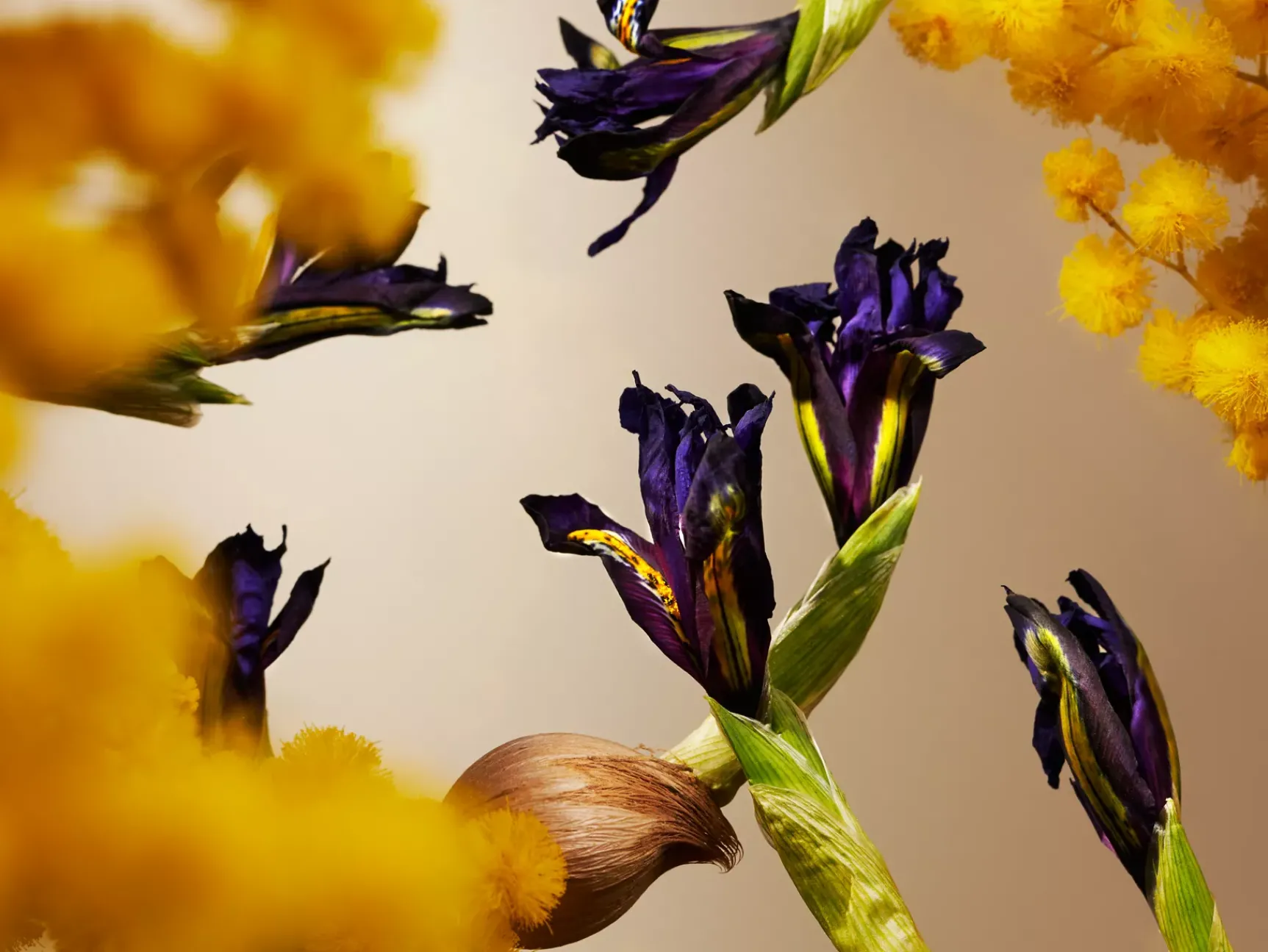 Discount Rituals Orris Mimosa Fragrance Sticks