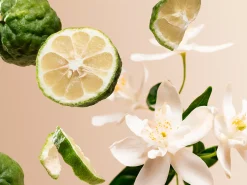 Clearance Rituals Positivity Wardrobe Fragrance