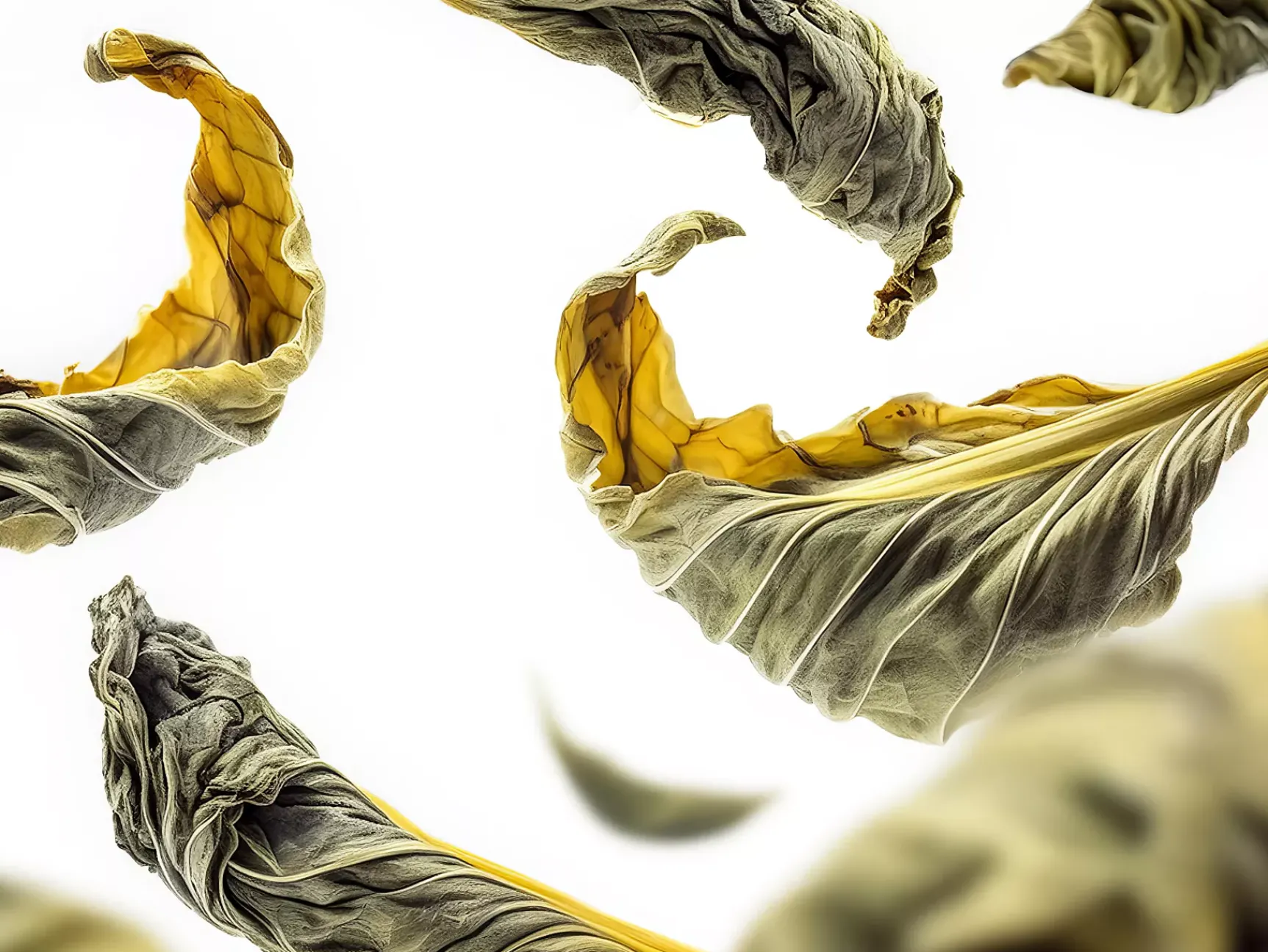 Clearance Rituals Royal Tea Refill Hand Wash