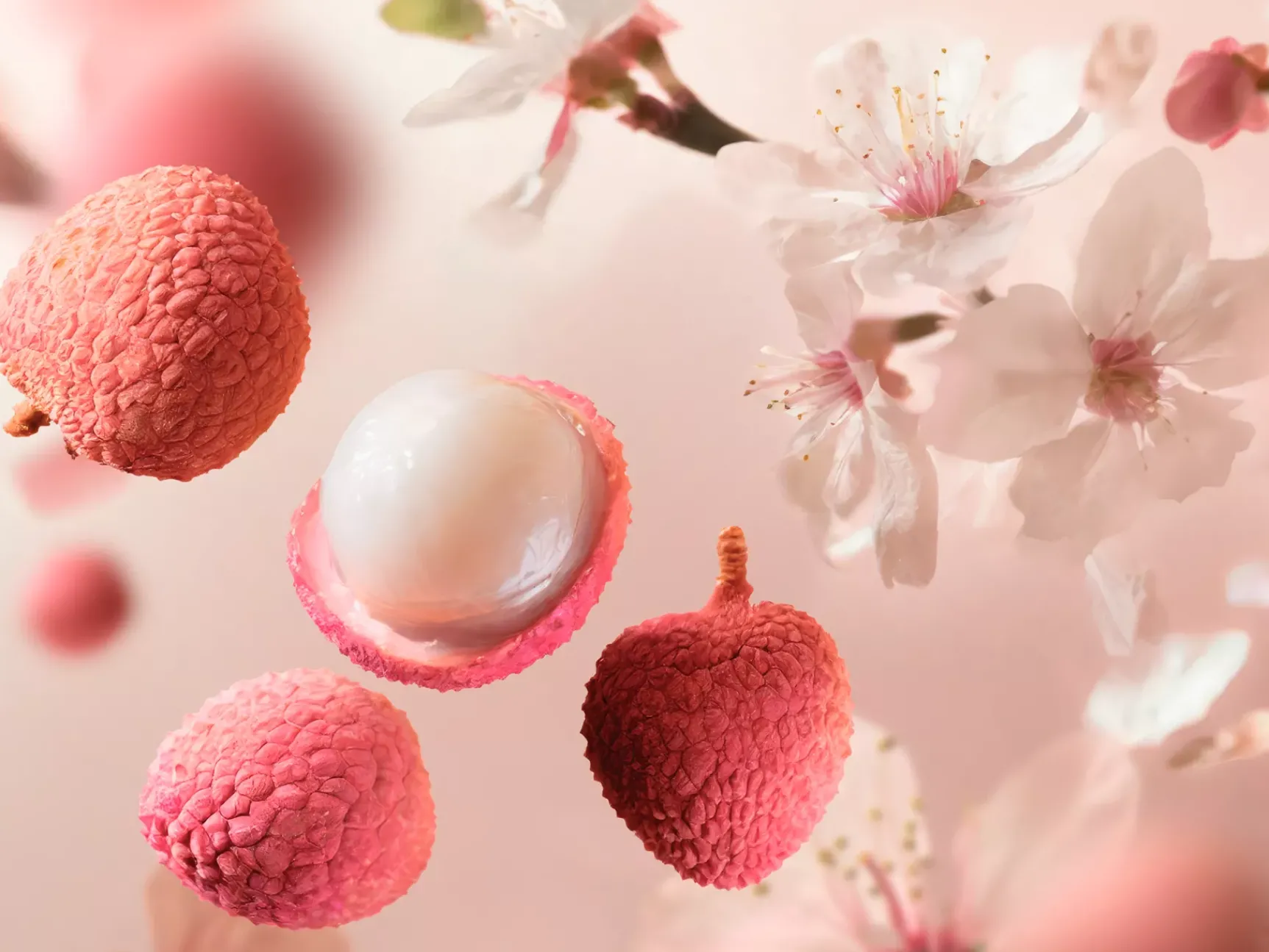 Clearance Rituals Rêve de Hanami