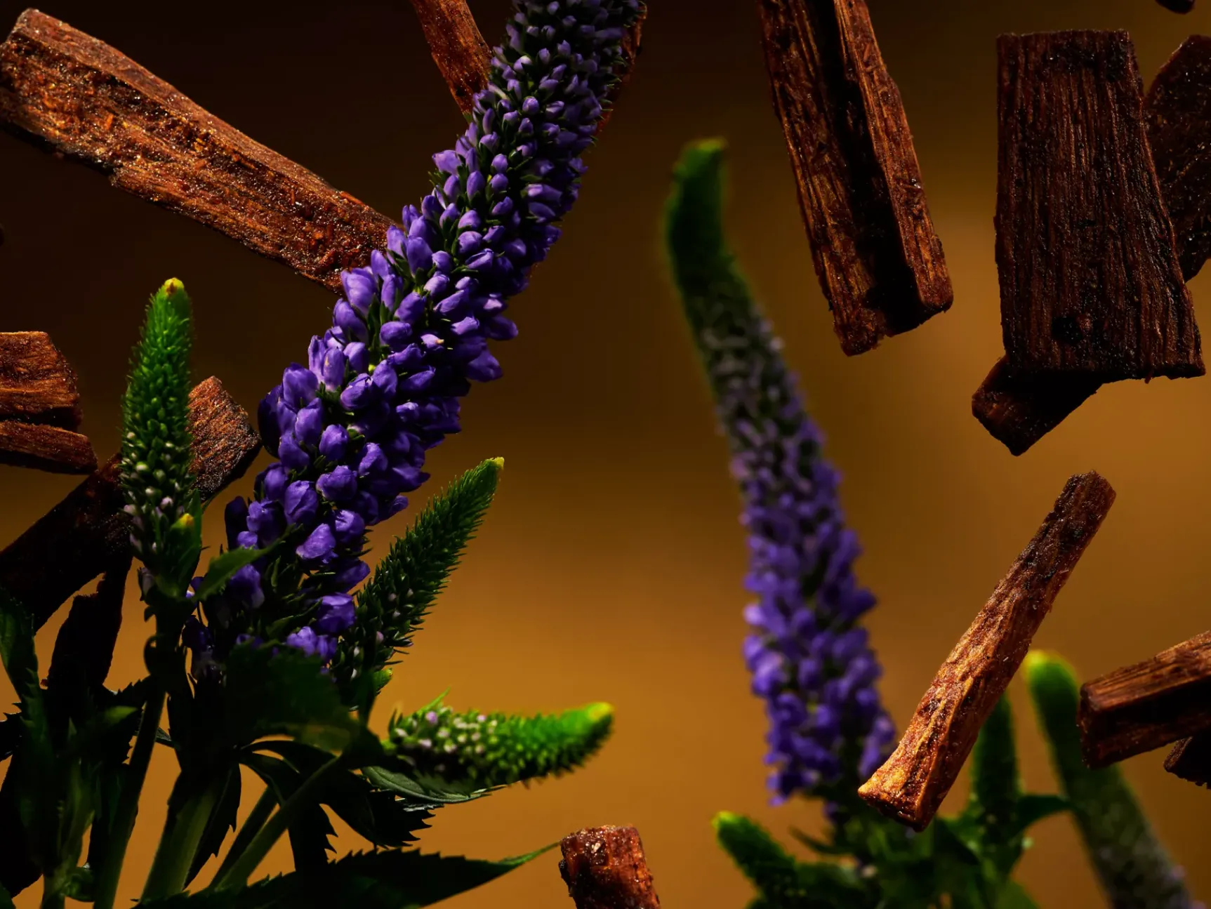 Best Rituals Scented Candle