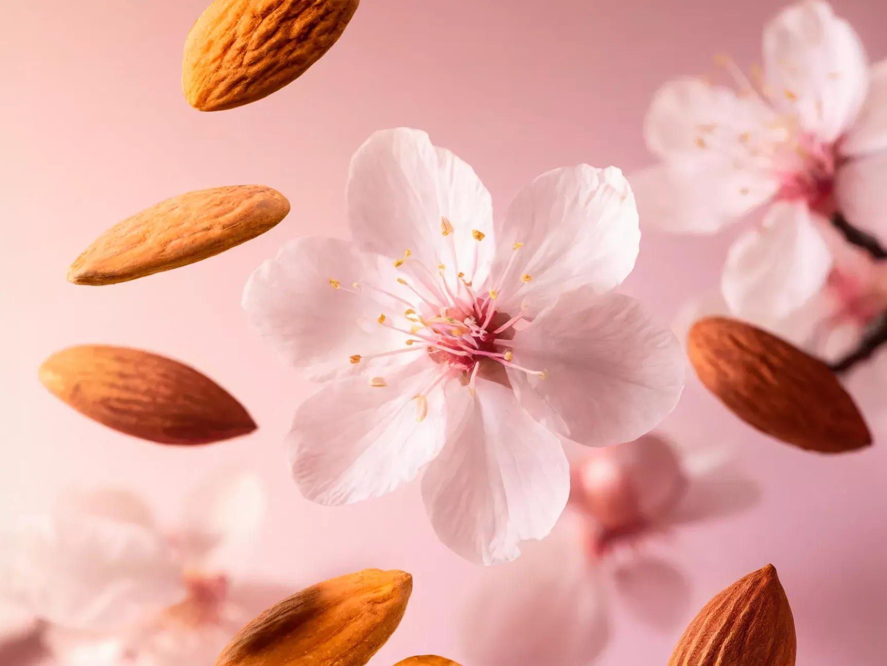 Sale Rituals Shower Oil