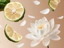 Clearance Rituals Soleil d'Or