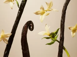 Online Rituals Suede Vanilla Car Wipes