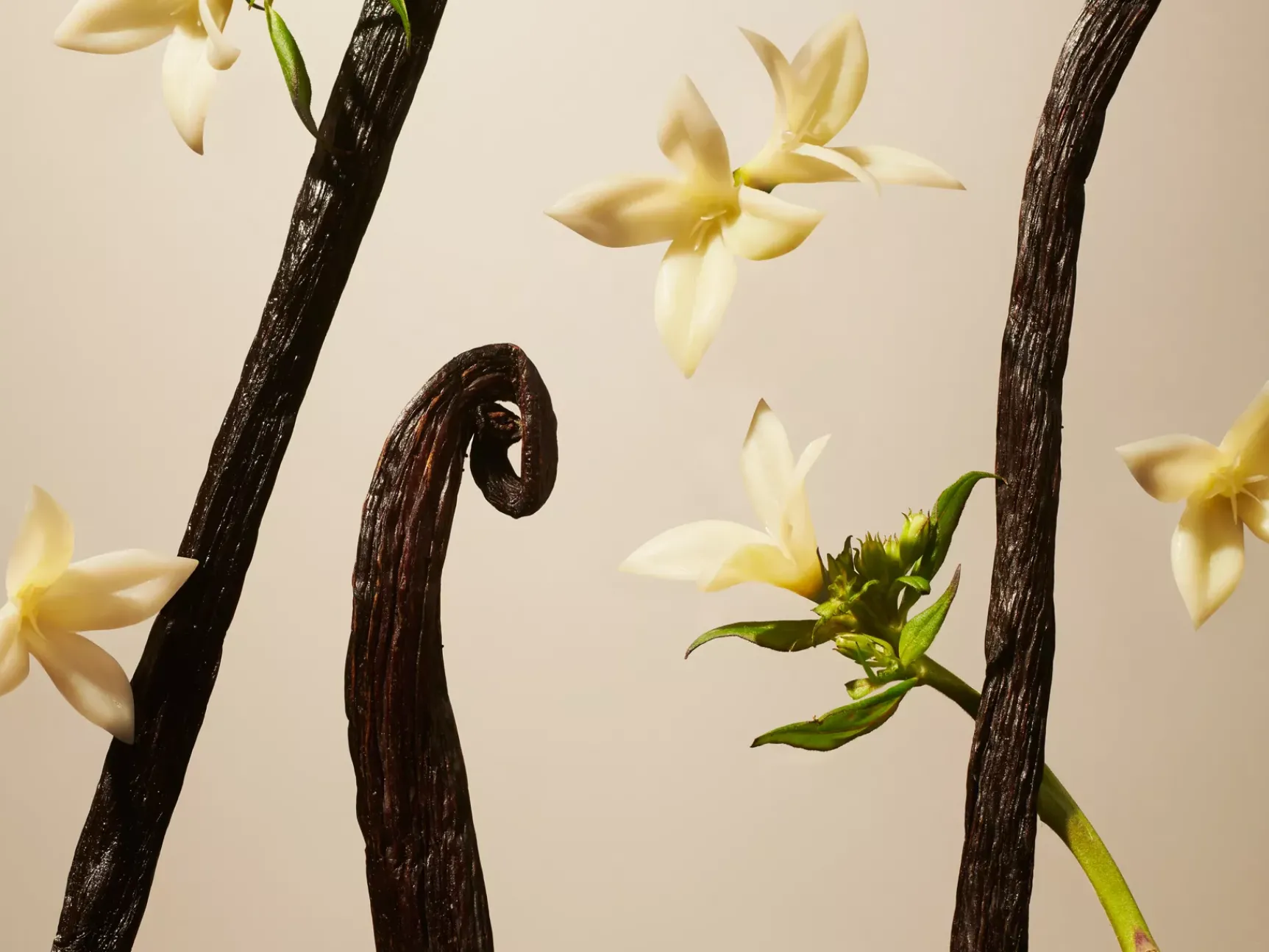 Outlet Rituals Suede Vanilla Mini Fragrance Sticks