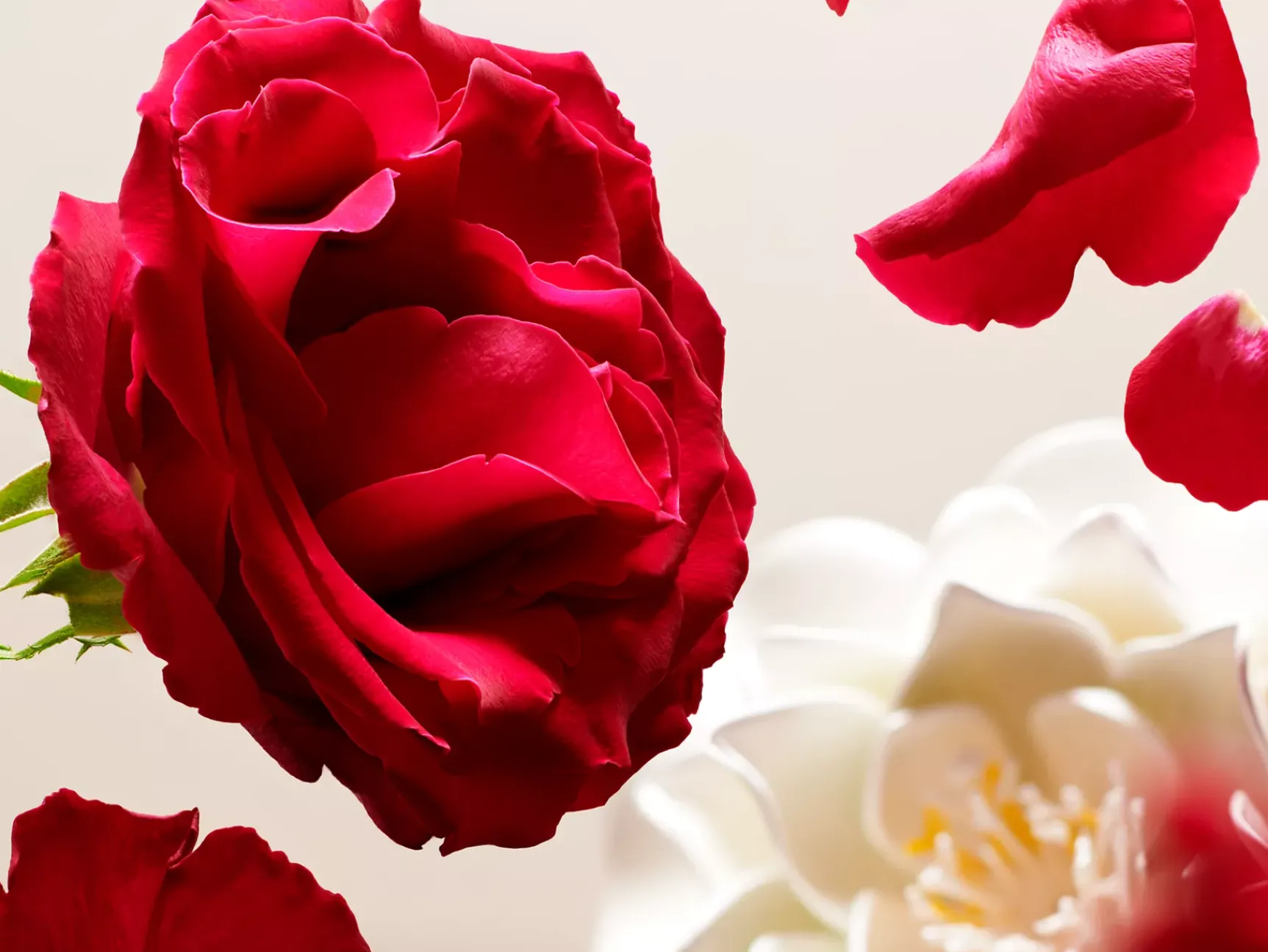 Hot Rituals Travel - Eye Make-Up Remover