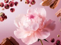 Clearance Rituals Travel - Nuit de l’Himalaya