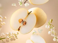 Discount Rituals Travel - Océan Infini